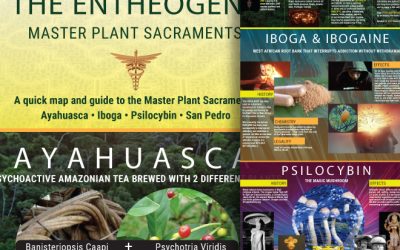 Entheogens: Master Plant Sacraments Poster